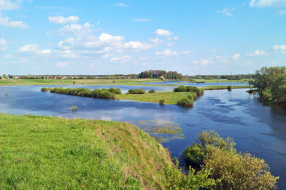 Лежниця